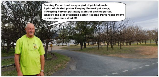 PP-PickledPorter